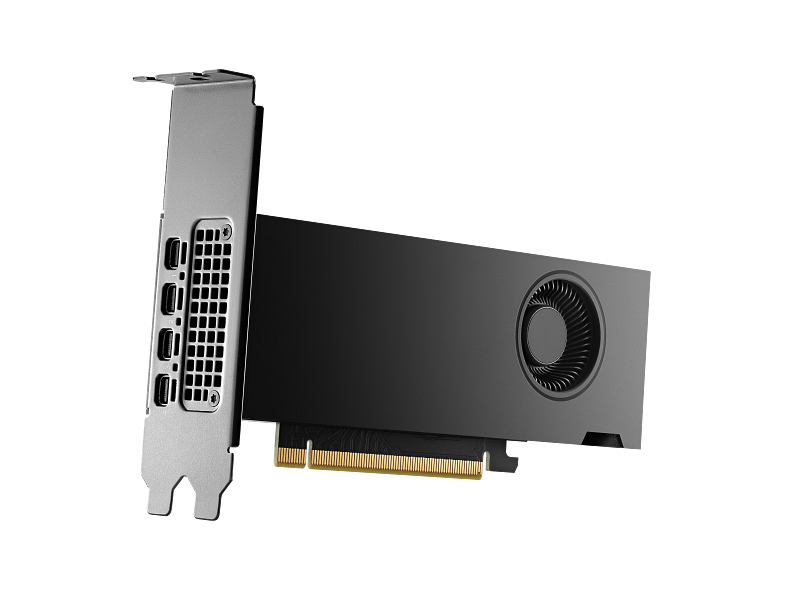 HP Nvidia RTX 2000 Ada Workstation Graphics Card, GDDR6 16 GB 128-bit Memory, 4 x Mini DP 1.4a Outputs, PCI Express 4.0, 224 GB/s Memory Bandwidth, 1 Year Warranty | 8D6B8AA