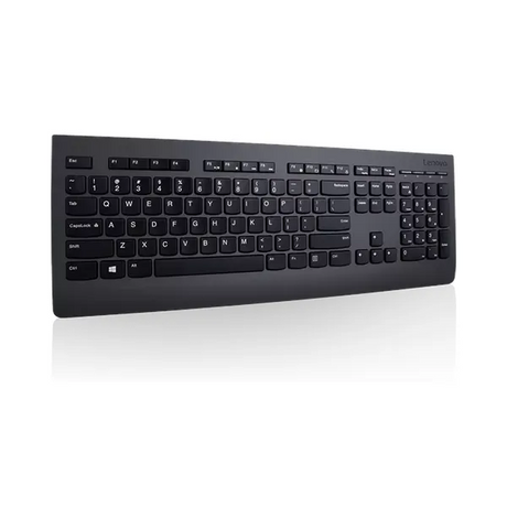 Lenovo Professional 100% Wireless Engilsh & Spanish Keyboard, Dedicated Media Controls, Up to 24 months Battery Life, Plunger/Rubber Dome Keys, Black, 1 Year Warranty | 4X30H56876