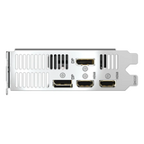 Gigabyte OC GeForce RTX 5050 Low Profile Graphics Card, GDDR6 8GB 128-bit Memory, HDMI 2.1b & DP 2.1b Outputs, PCI Express 5.0, 2587 MHz Core Clock, 20 Gbps Memory Clock, 1 Year Warranty | GV-N5050-OC-8GL