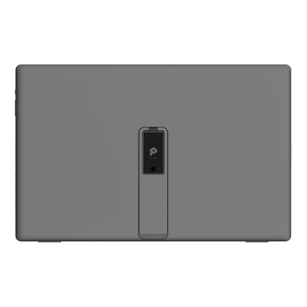 MSI Pro MP161 E2 Portable15.6" FHD IPS Monitor