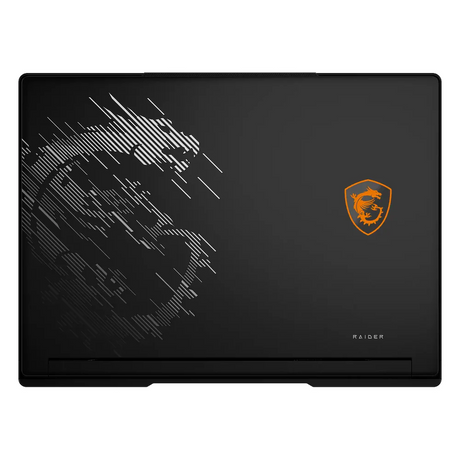 MSI-Raider-16-Gaming-Laptop-9S7-265122-078