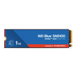Sandisk-WD-Blue-SN5100-WDS100T5B0E