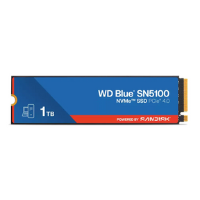 Sandisk-WD-Blue-SN5100-WDS100T5B0E